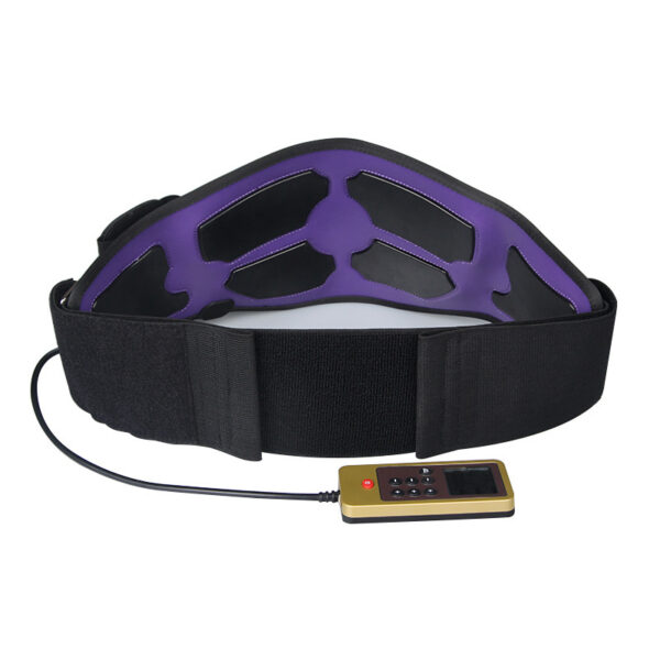 Waist Massager Home Physiotherapy Device - Image 5
