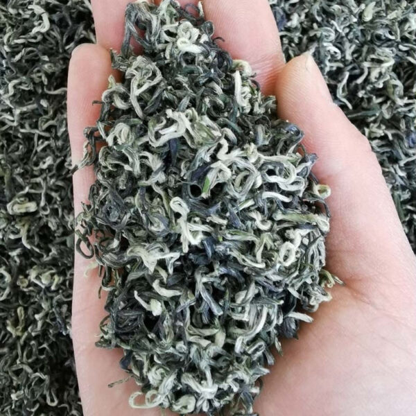 Misty Cloud Green Tea Mengdingshan Maofeng Fragrant - Image 2