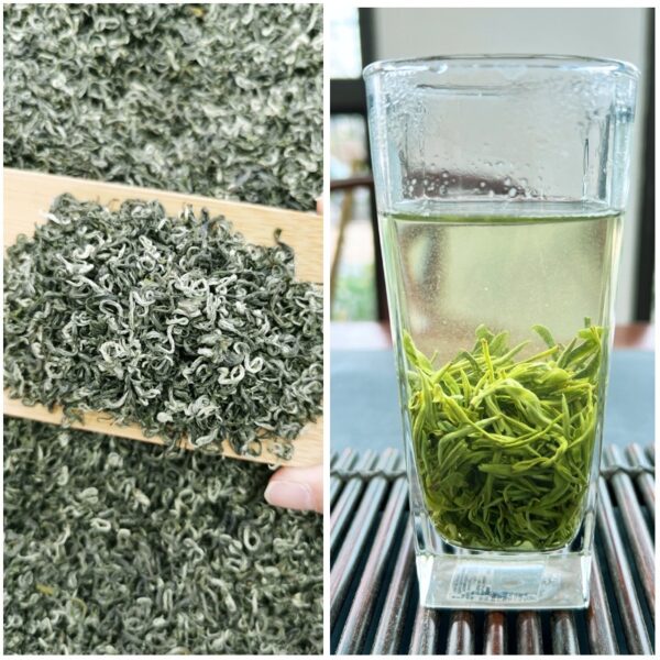 Misty Cloud Green Tea Mengdingshan Maofeng Fragrant - Image 1