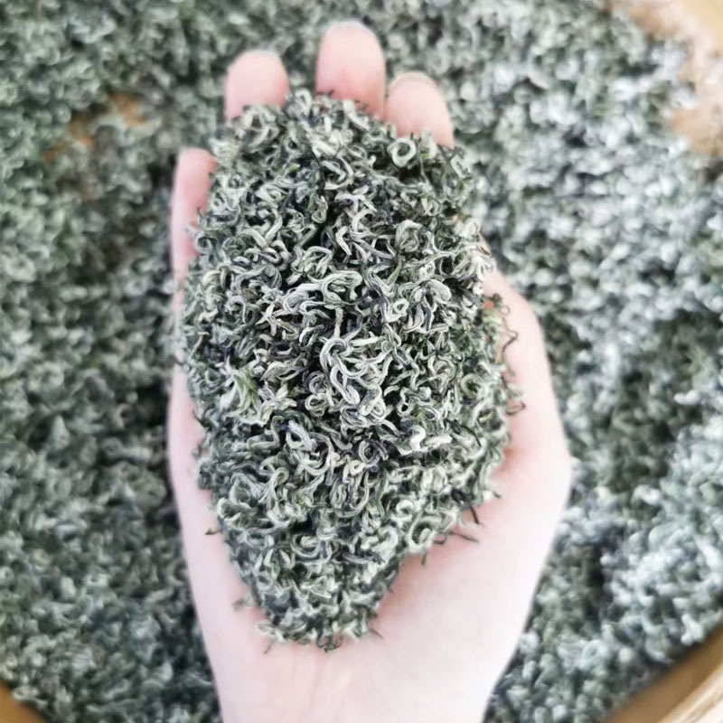Misty Cloud Green Tea Mengdingshan Maofeng Fragrant